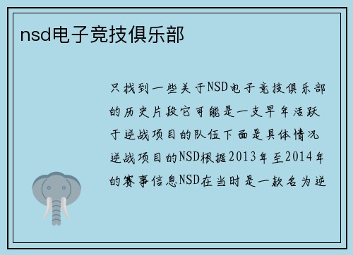 nsd电子竞技俱乐部