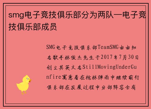 smg电子竞技俱乐部分为两队—电子竞技俱乐部成员